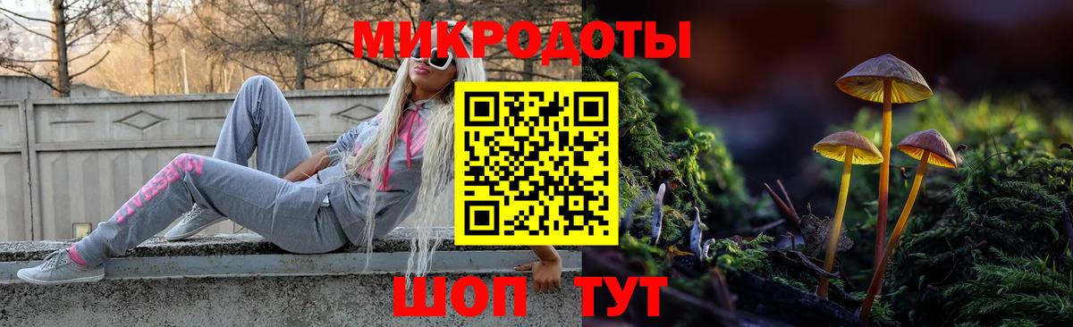 Псилоцибиновые грибы GOLDEN TEACHER  Галлюциногенные грибы Cubensis  Вход с VPN  Донской 